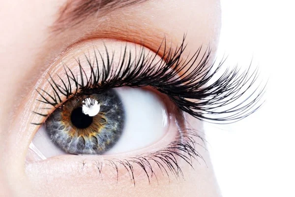 راز پر پشت شدن مژه ها !