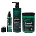 ست 3 تکه شامپو ، ماسک مو و روغن آرگان عصاره جلبک دریایی Seaweed گوک